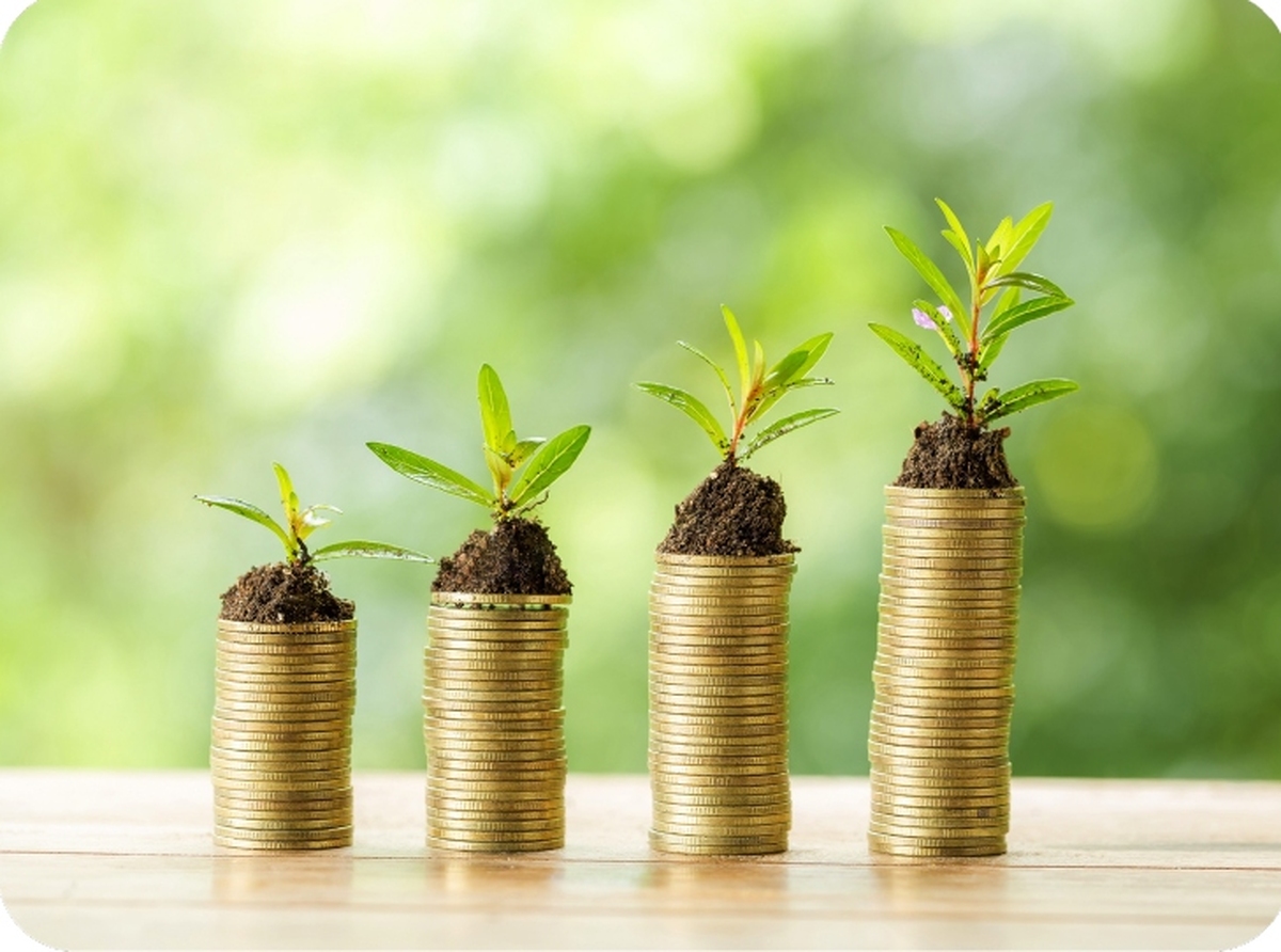 سرمایهگذاری طلا برای چه کسانی مناسب است؟