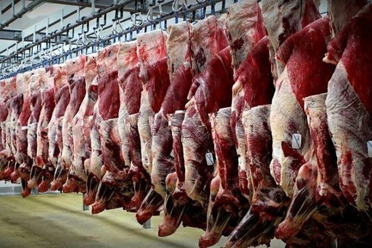 صفر شدن واردات گوشت تا بهار سال آینده/ قیمت گوشت پایین‌تر می‌آید؟
