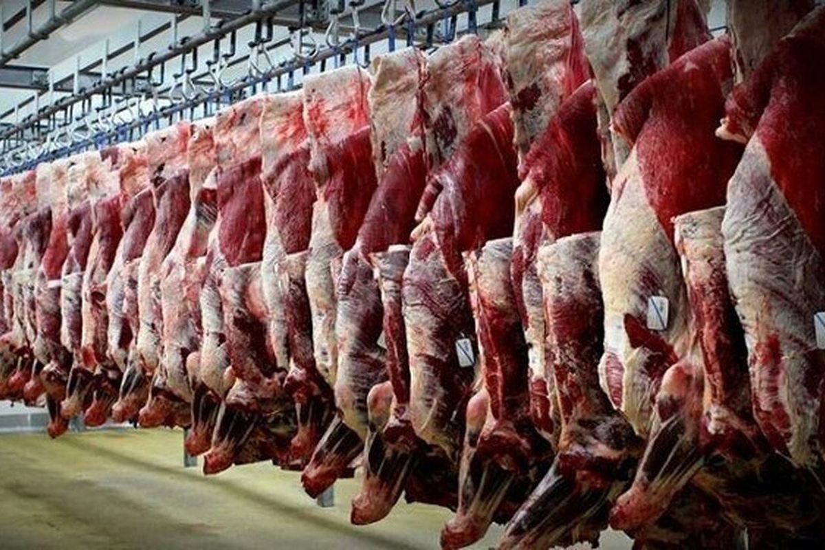 صفر شدن واردات گوشت تا بهار سال آینده/ قیمت گوشت پایینتر میآید؟