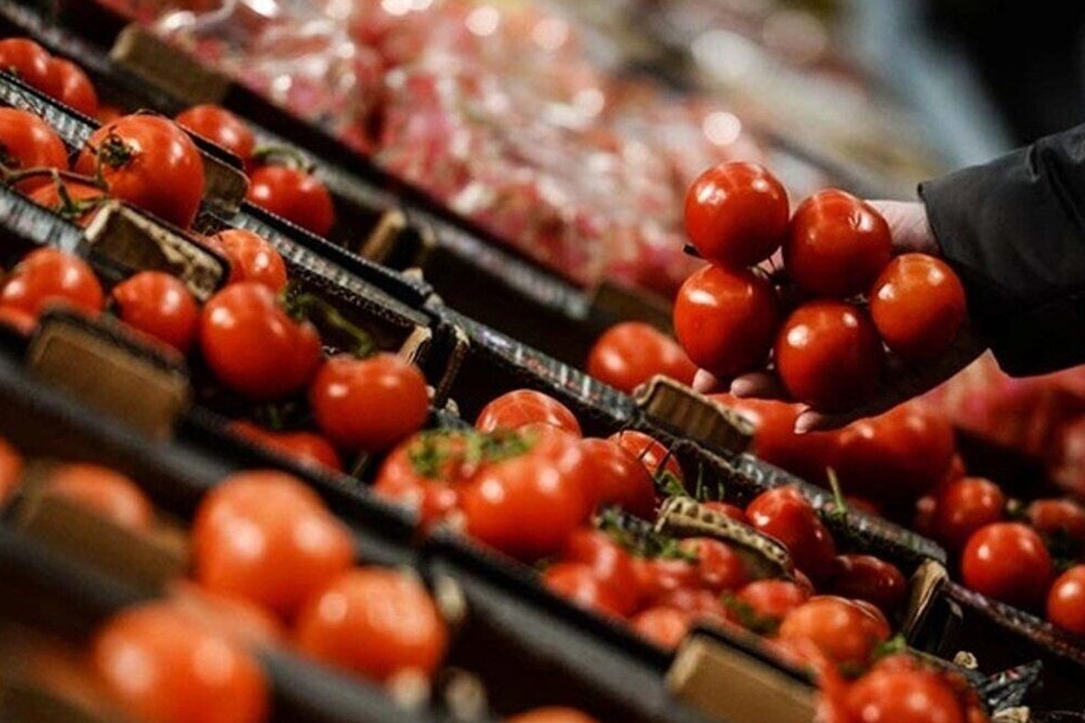 رشد عجیب قیمت گوجه فرنگی در یک ماه گذشته/ دلیل افزایش قیمت گوجه فرنگی چیست؟