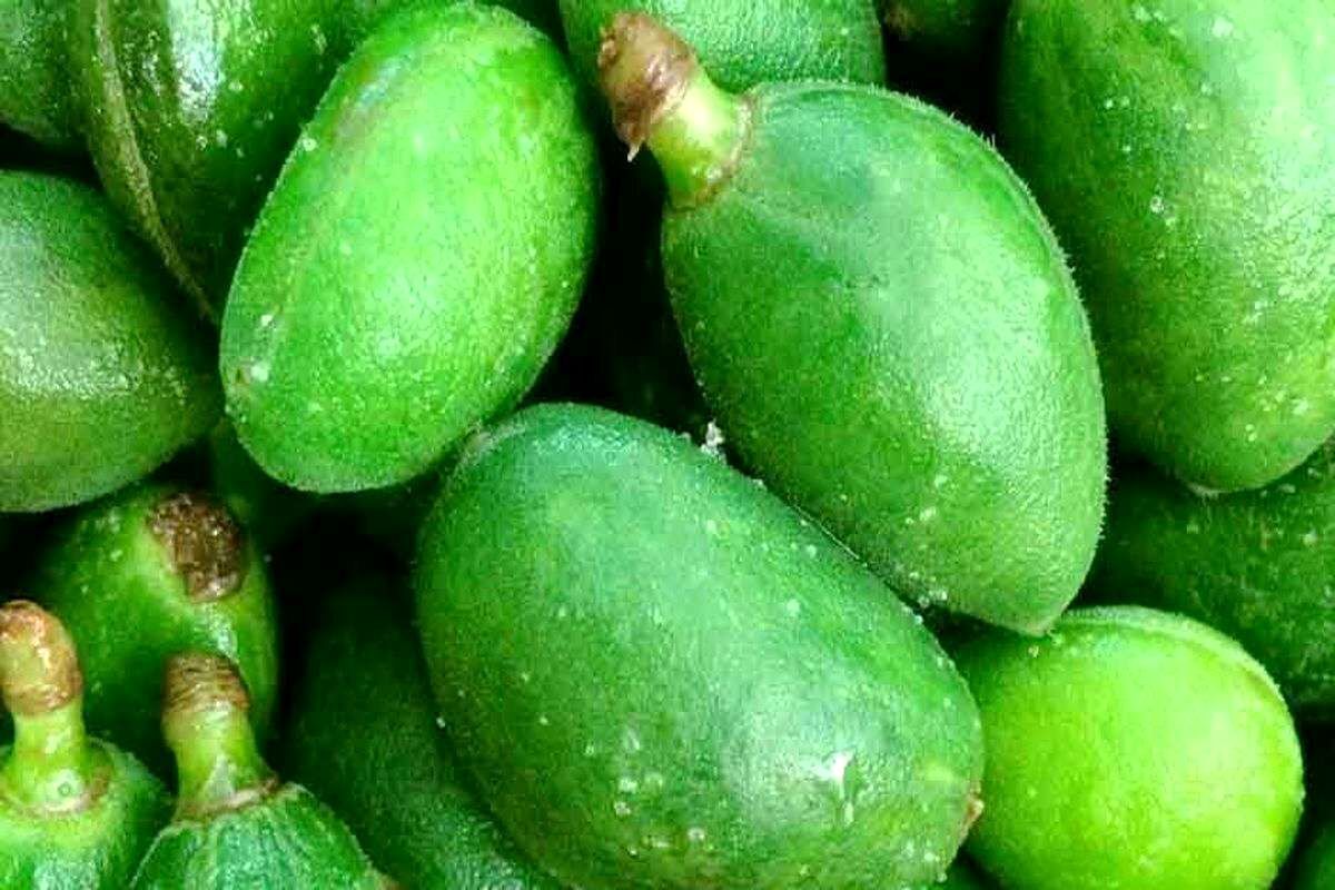 گوجه سبز کیلویی چندمیلیون؟