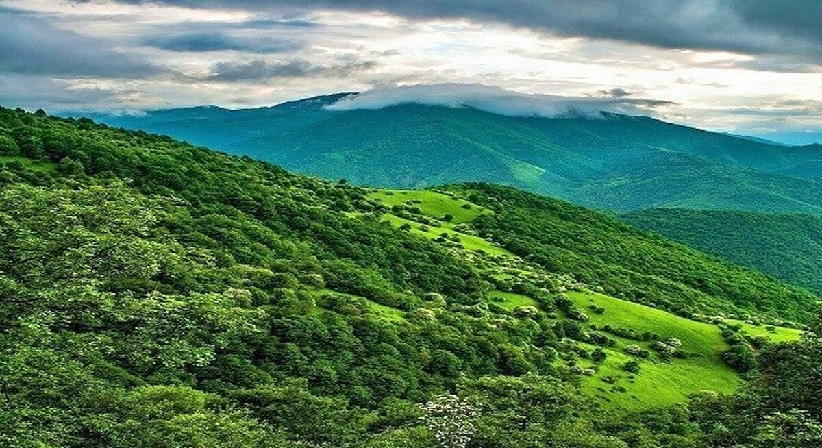 نابودی یک میلیون هکتار از جنگل‌های ایران در ۶ دهه اخیر