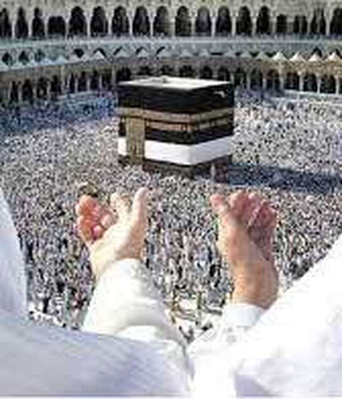 آغاز ثبت نام قطعي در كاروانهاي حج تمتع ۱۴۰۴ از ۲۰ دي ماه آغاز ثبت نام قطعي در كاروانهاي حج تمتع ۱۴۰۴ از ۲۰ دي ماه