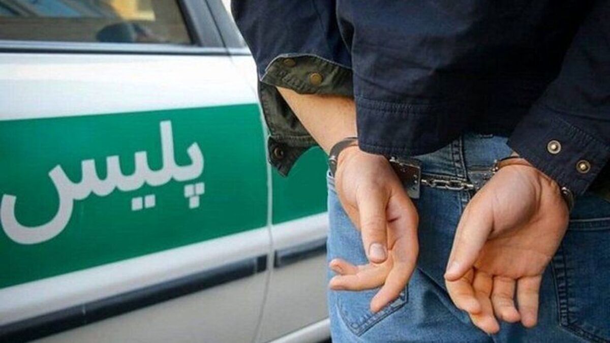 پاسخ شوکه‌کننده سارق به پیشنهاد یک شغل؛ درآمد ۲۰ میلیون تومانی صرف ندارد! + ویدئو