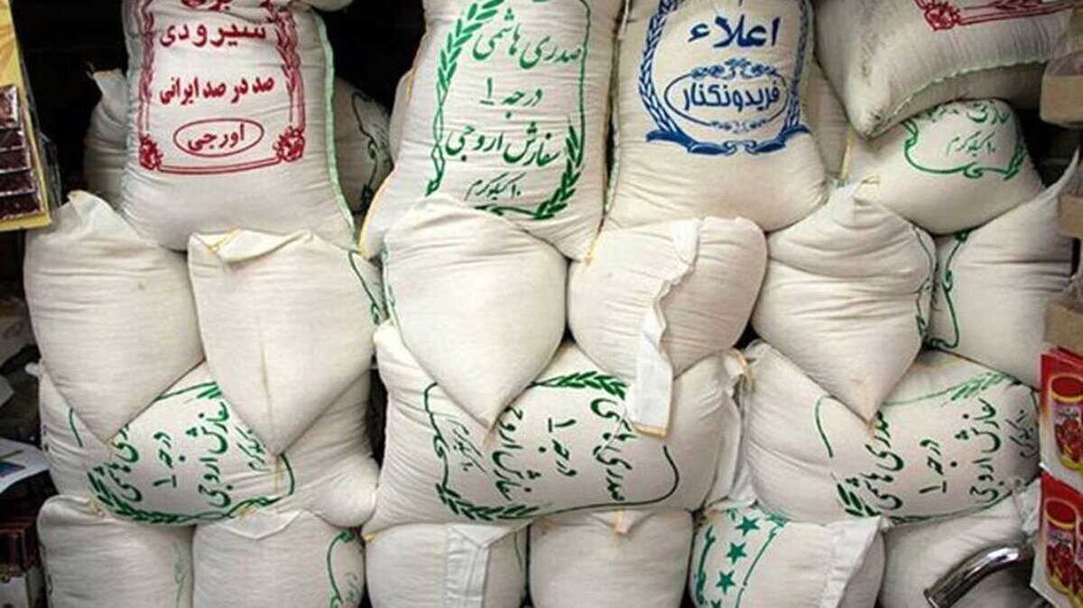 قیمت جدید برنج امروز ۲۱ بهمن ۱۴۰۳؛ هر کیلو برنج طارم، هاشمی و فجر چند شد؟ قیمت جدید برنج امروز ۲۱ بهمن ۱۴۰۳؛ هر کیلو برنج طارم، هاشمی و فجر چند شد؟