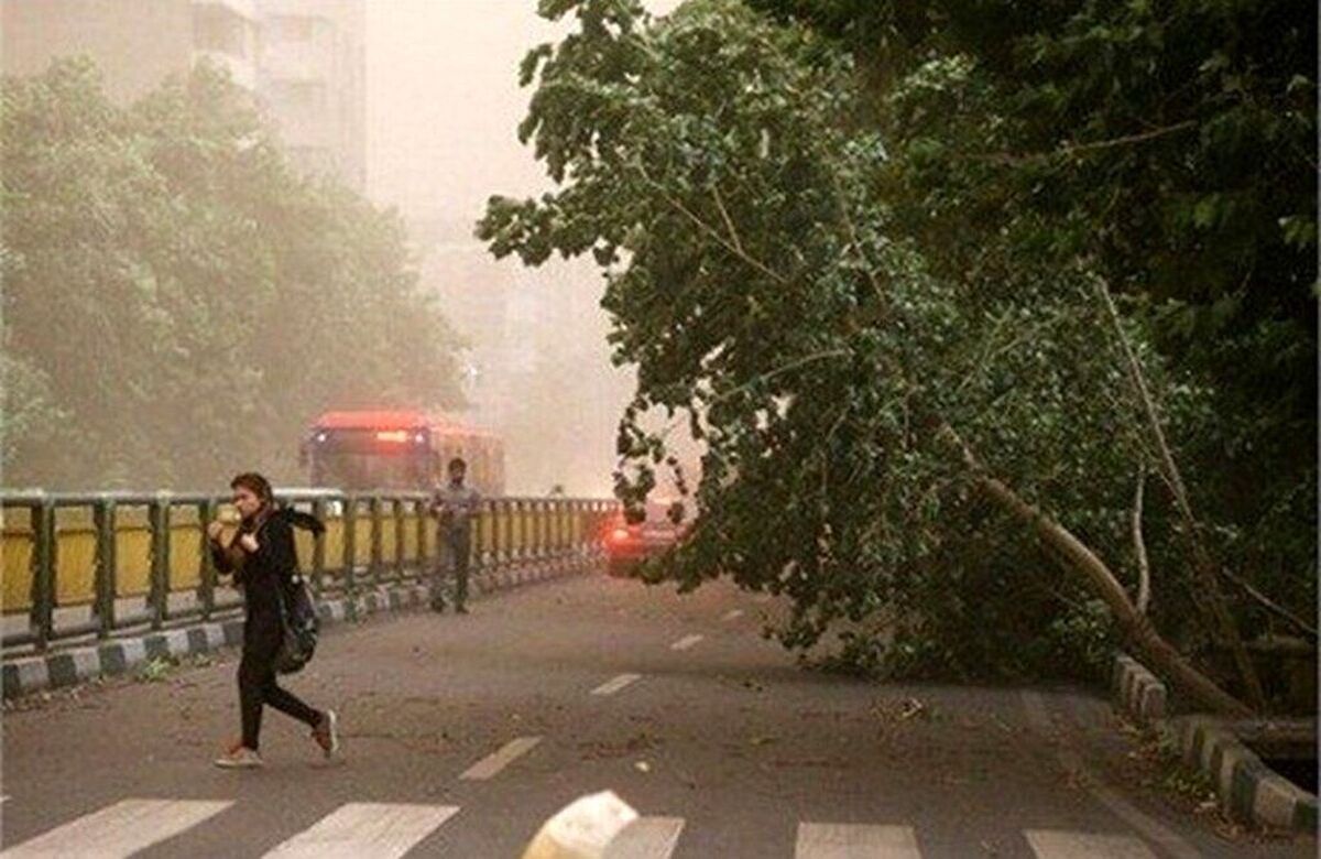 وزش باد شدید در تهران طی امروز و فردا وزش باد شدید در تهران طی امروز و فردا