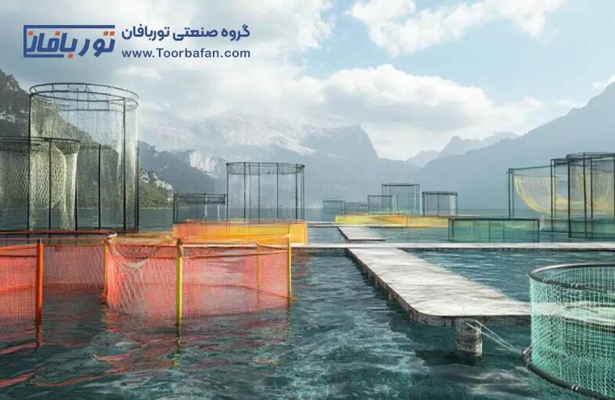 راهنمای جامع پرورش ماهی در قفسهای شناور
