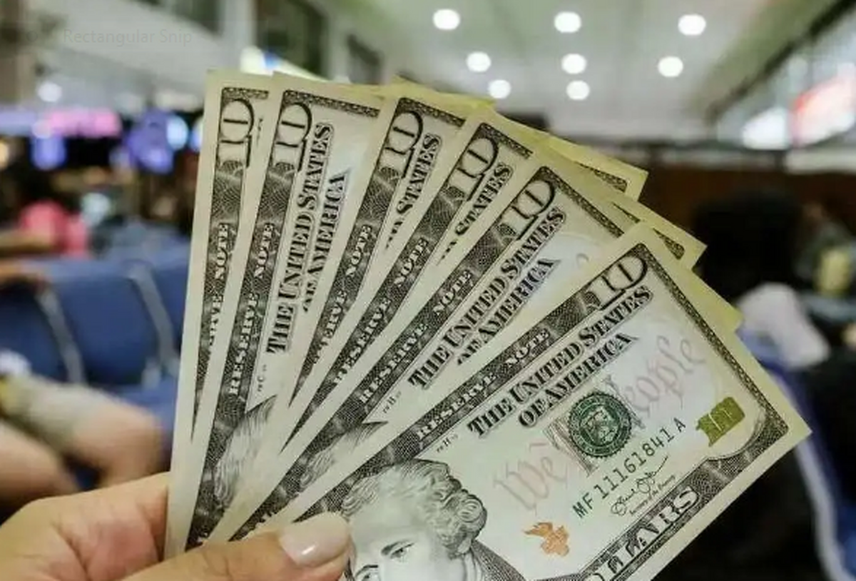 پیشبینی قیمت دلار در روز دوشنبه ۱۷ اردیبهشت ۱۴۰۳؛ ارز آماده ورود به کریدور پنجم است؟
