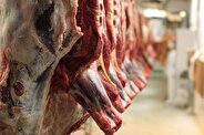 اعلام جدیدترین قیمت گوشت گوسفندی و گوساله در بازار/ قیمت گوشت کاهشی می‌شود؟
