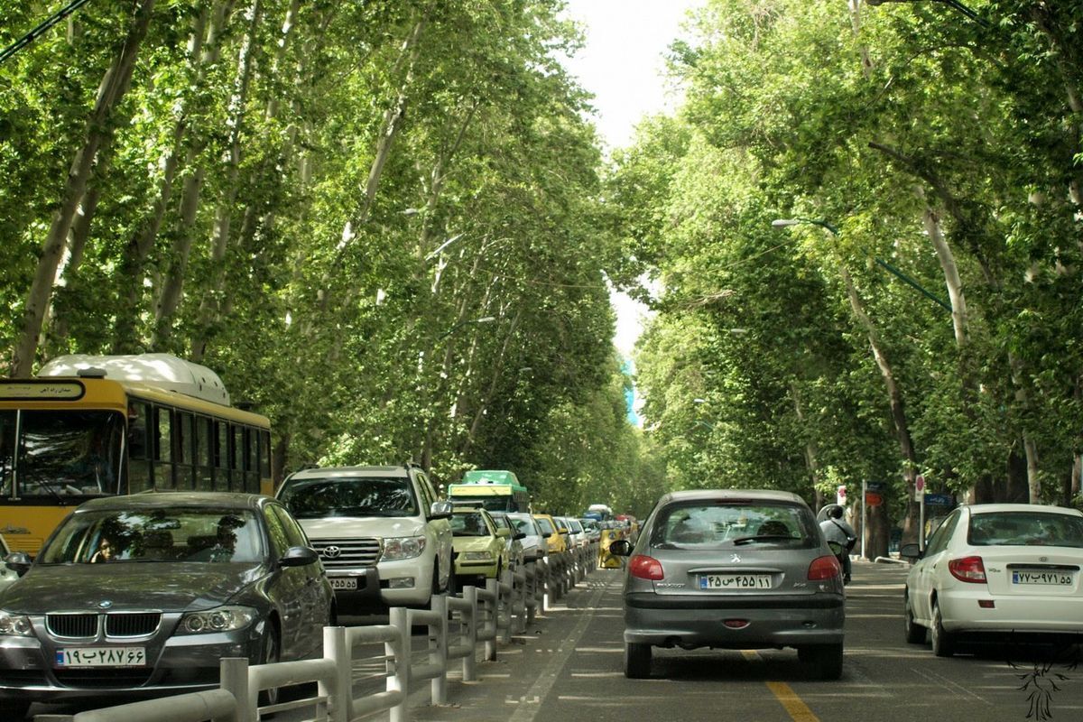 جابهجایی درختان یک حرکت نمایشی است؟