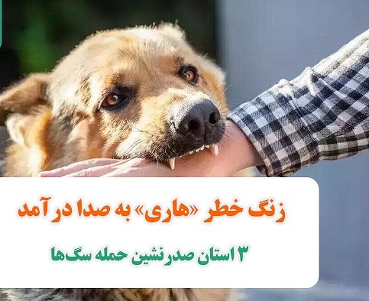 به صدا در آمدن زنگ خطر «هاری»؛ استانهایی که در بروز حمله سگها صدرنشین هستند