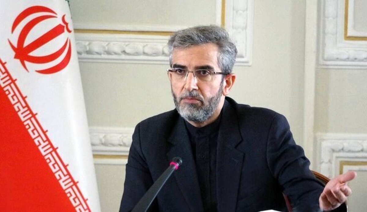 آژانس نقش فنی و تخصصی خود را ادامه دهد