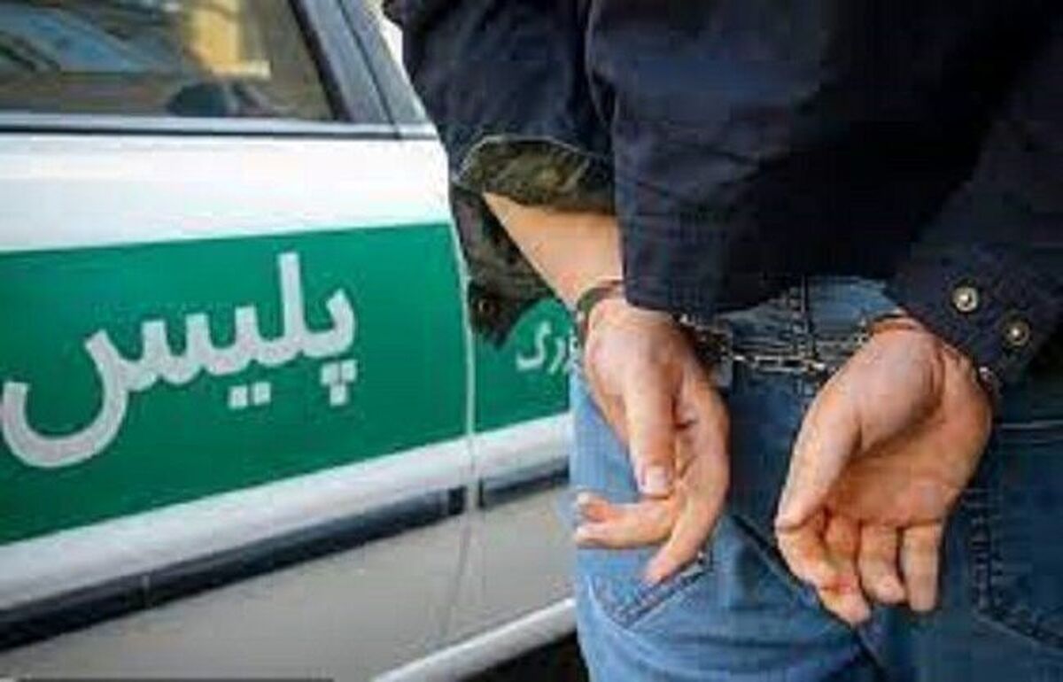 شناسایی و بازداشت ۷ نفر درپی انتشار محتوی توهین‌آمیز نسبت به شهدای خدمت