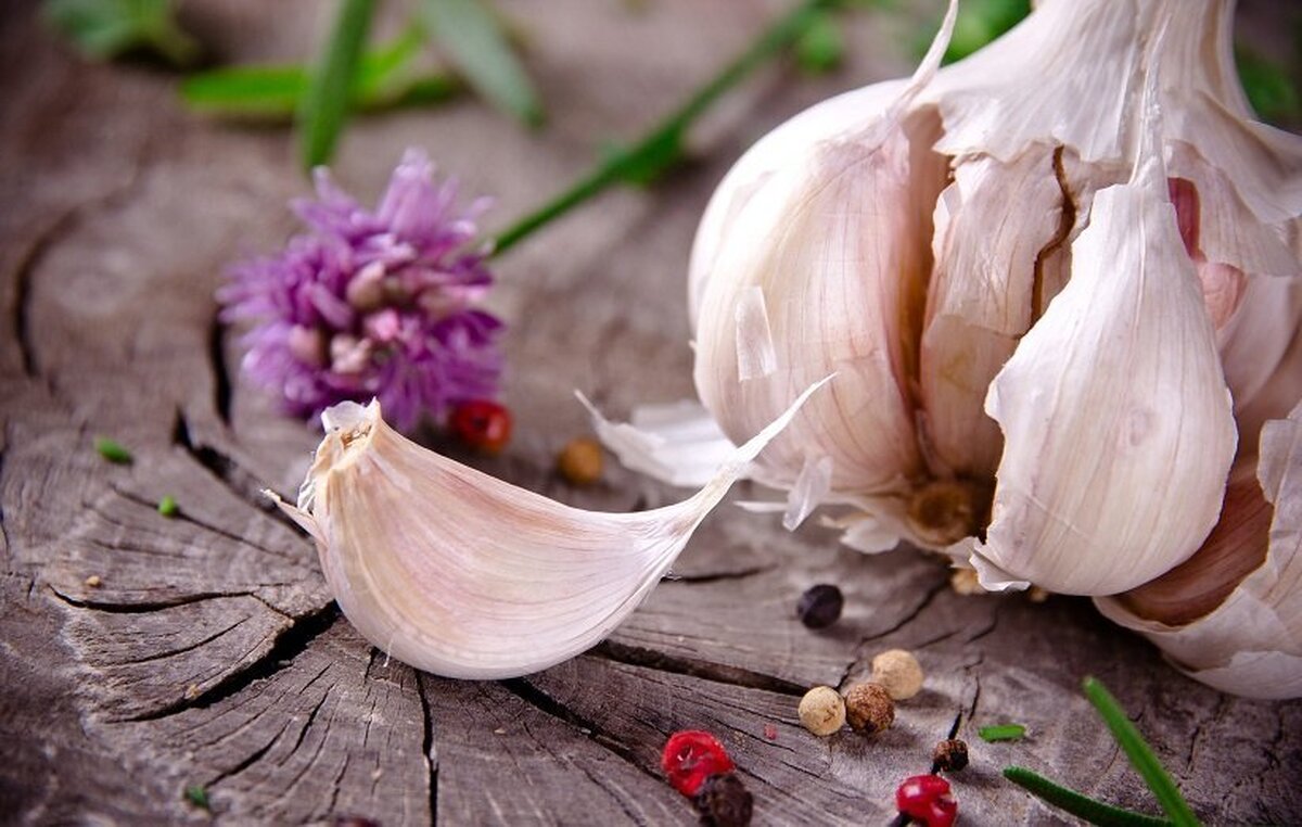 سیر چه خواصی دارد؟