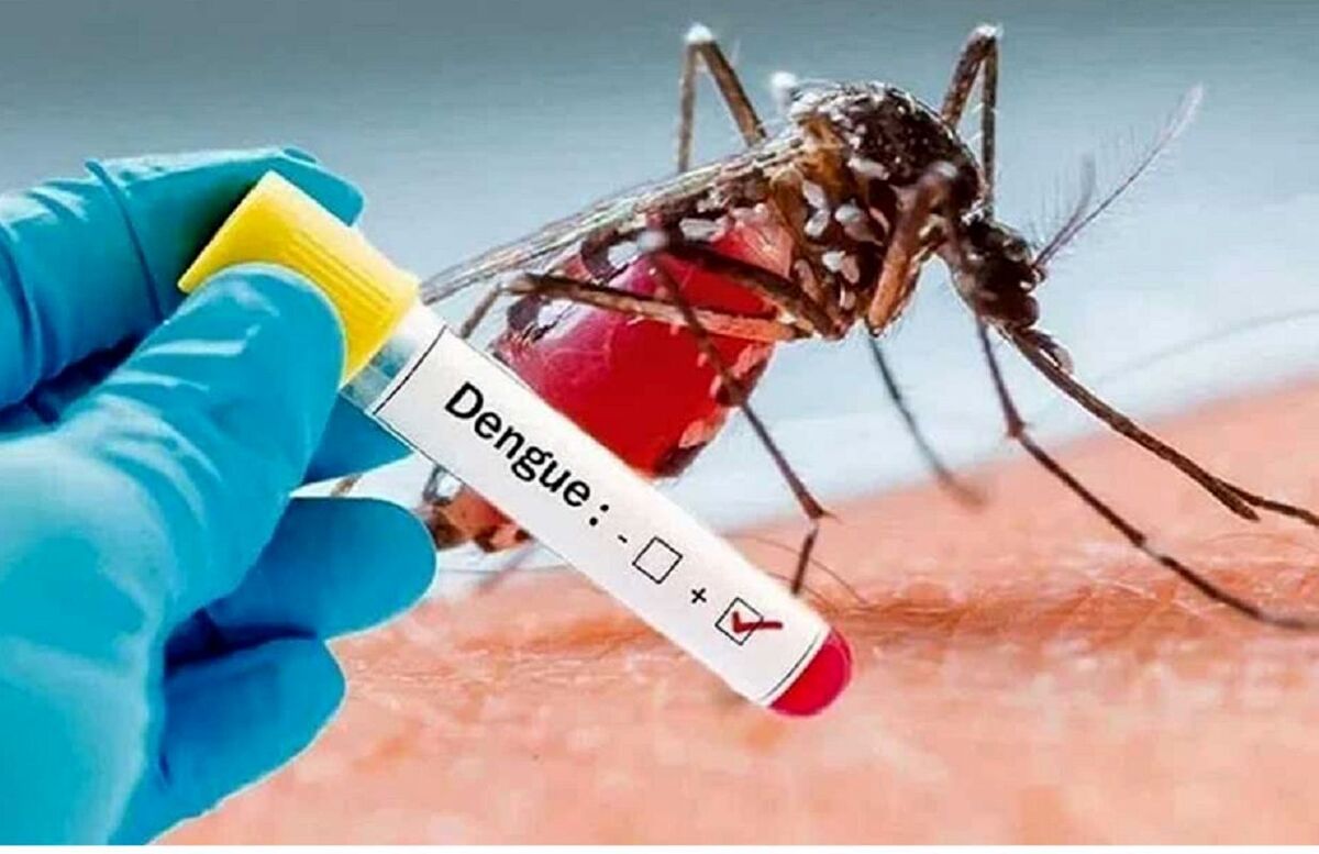 به صدا درآمدن زنگ خطر «تب دنگی» در این مناطق + جزئیات