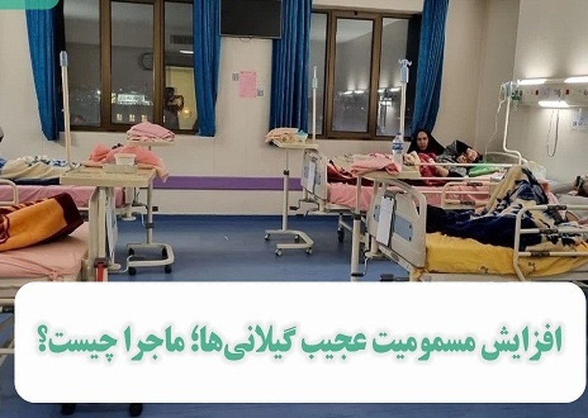 پشت‌پرده مسمومیت‌های عجیب گیلانی‌ها!