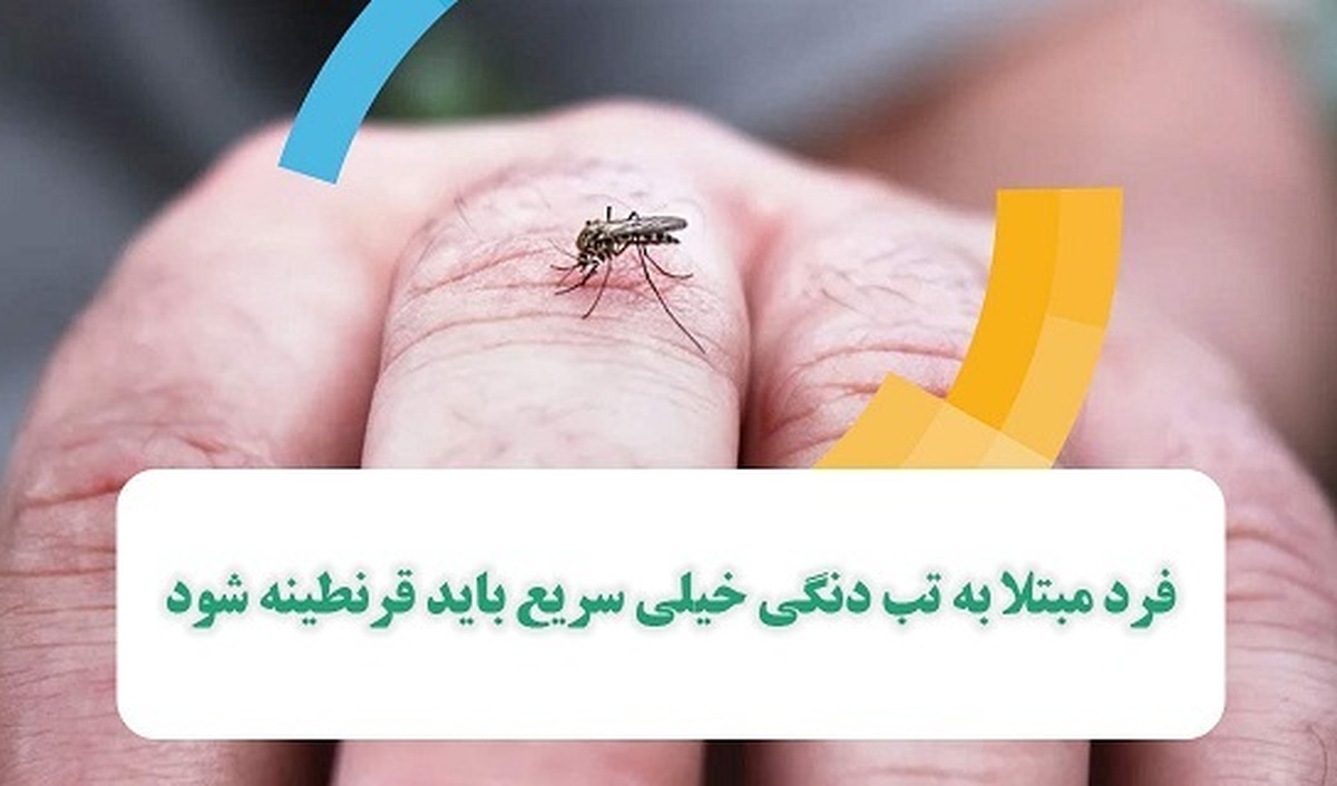 هشدار؛ فرد مبتلا به تب دنگی خیلی سریع باید قرنطینه شود
