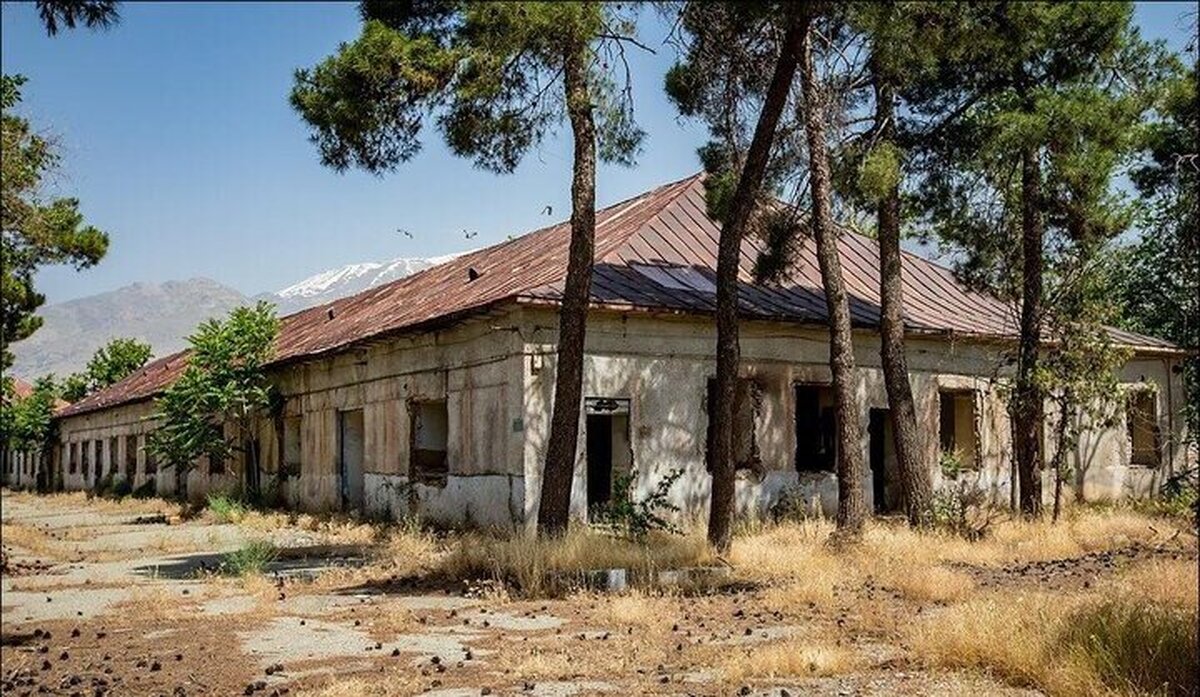 سرنوشت مبهم پادگان ۰۶ تهران؛ نه‌تنها خبری از بوستان نیست، بلکه درختان نیز یکی‌یکی محو می‌شوند