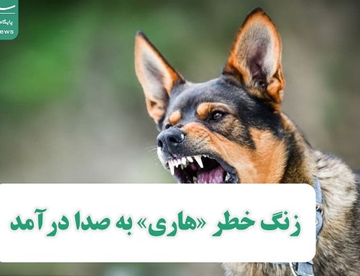 به صدا درآمدن زنگ خطر «هاری» در کشور