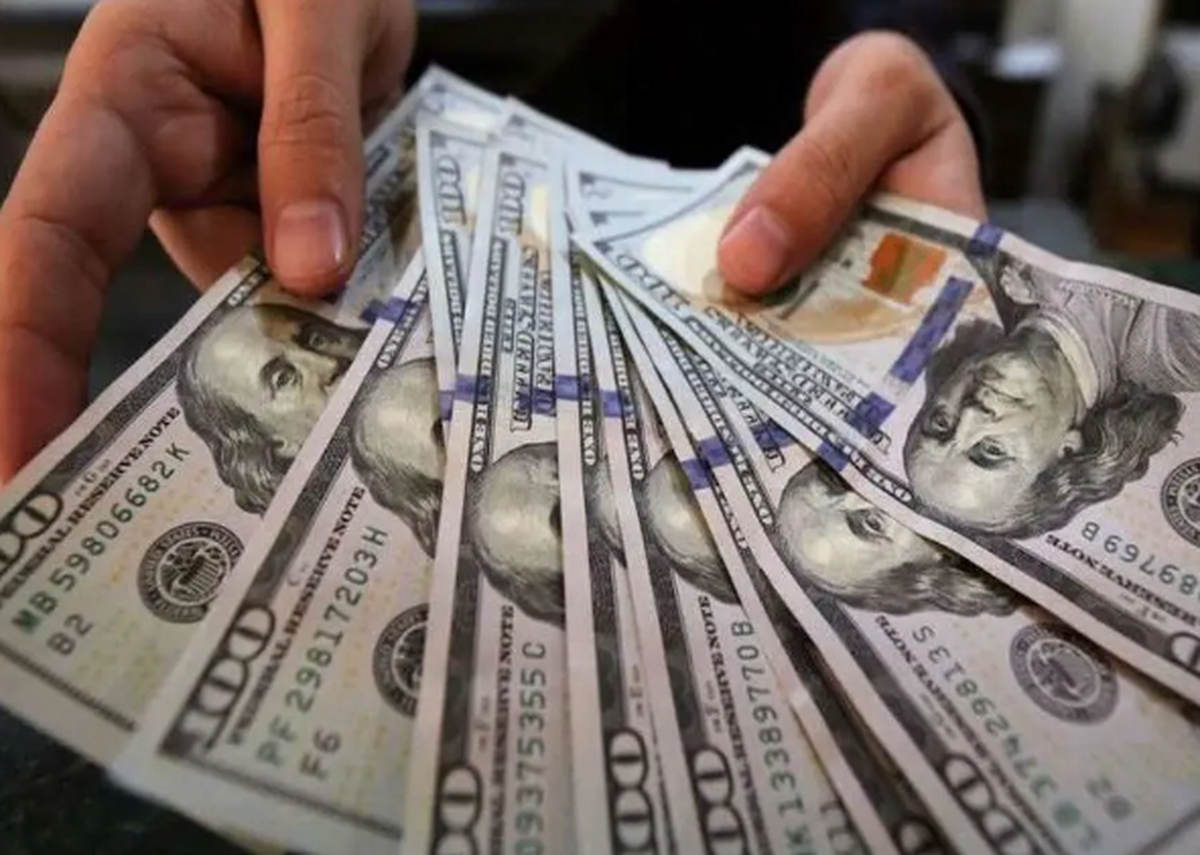 قیمت دلار امروز ۱۹ تیر ۱۴۰۳؛ درجا زدن نرخ ارز در کف قیمت + جدول
