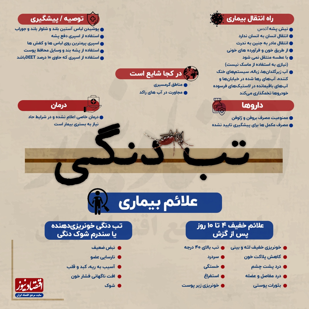 راههای کلیدی برای مقابله با پشه آئدس و تب دنگی + عکس