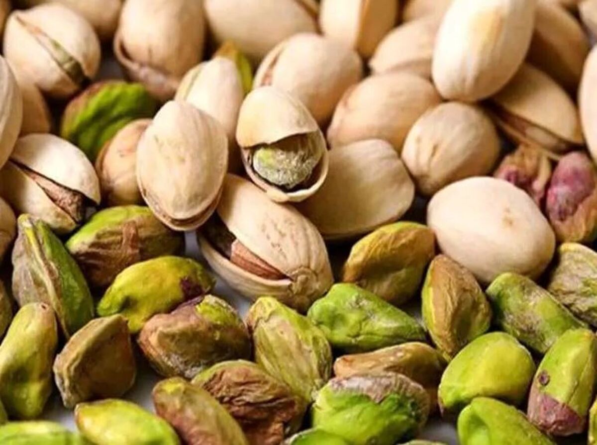 قیمت تمام شده پسته در آمریکا ۵ دلار و در ایران ۷ دلار است