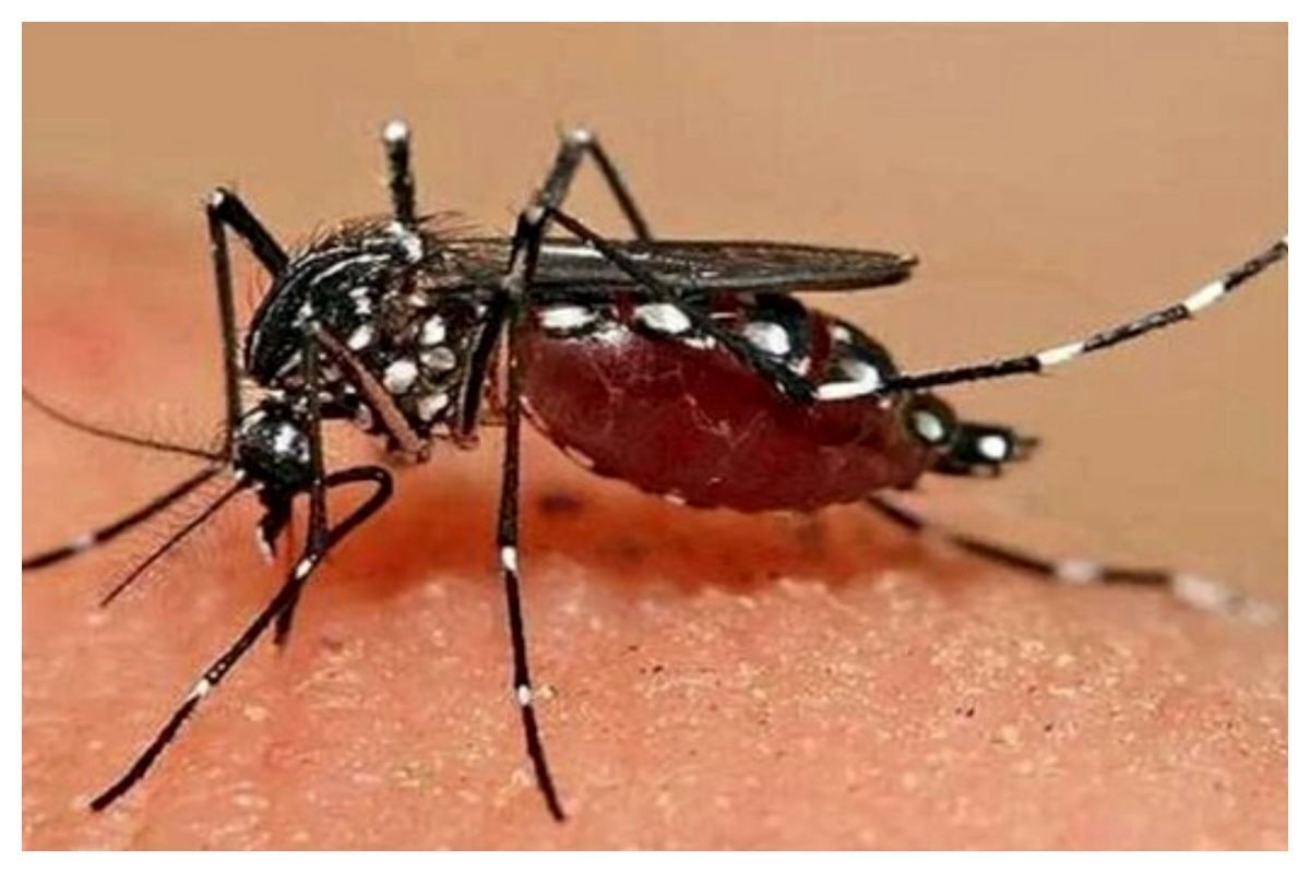 یک بیمار قطعی تب دنگی در اصفهان شناسایی شد