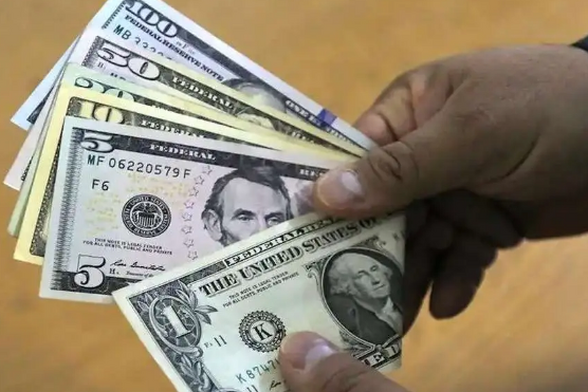 پیش بینی قیمت دلار ۱ مرداد ۱۴۰۳؛ معاملهگران، ارزپاشی سیاستگذار را دلیل افت قیمت دلار میدانند