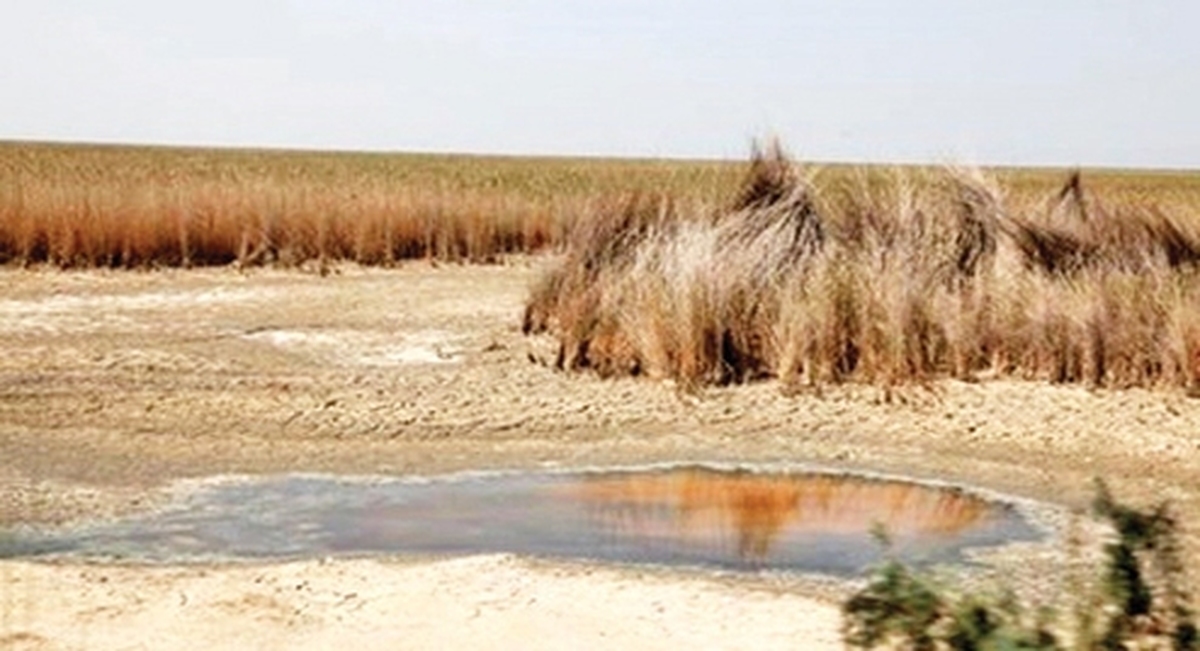 نگين سبز خوزستان تشنه‌تر از هميشه