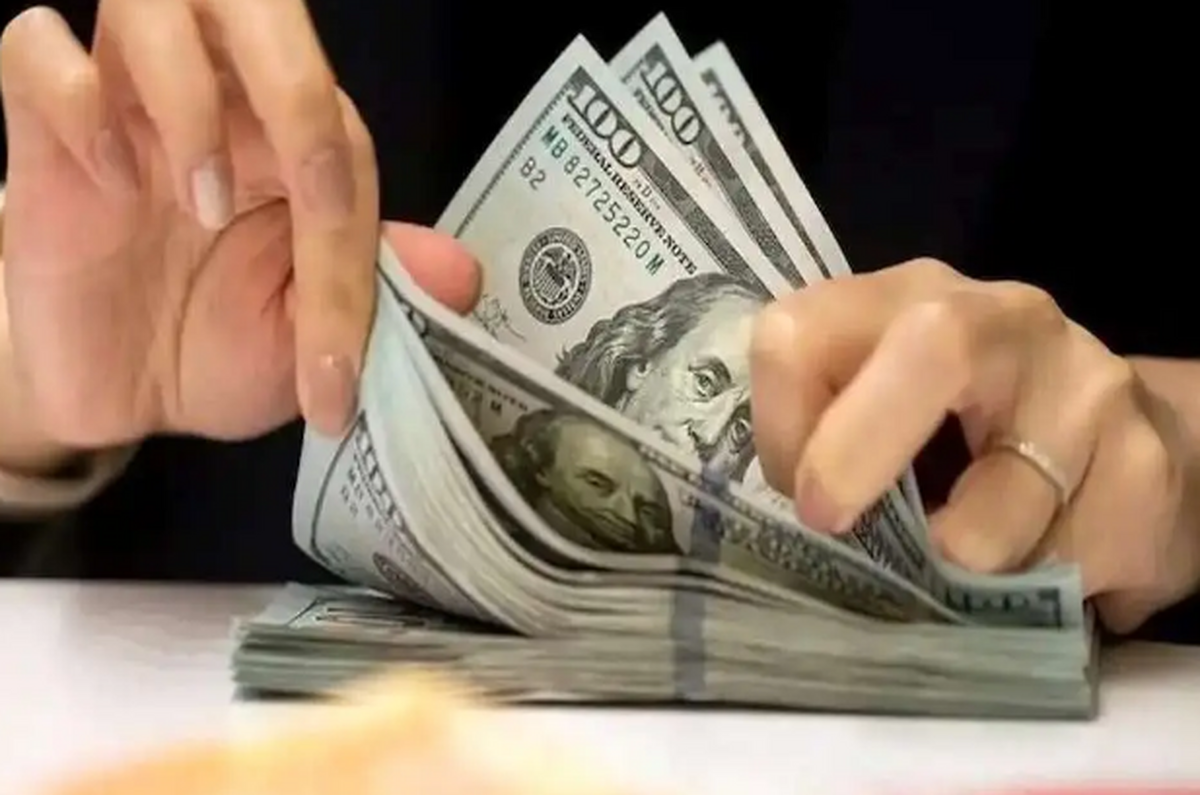 پیش بینی قیمت دلار ۲ مرداد ۱۴۰۳؛ تدبیر ارزی، قیمت دلار را مهار کرد!