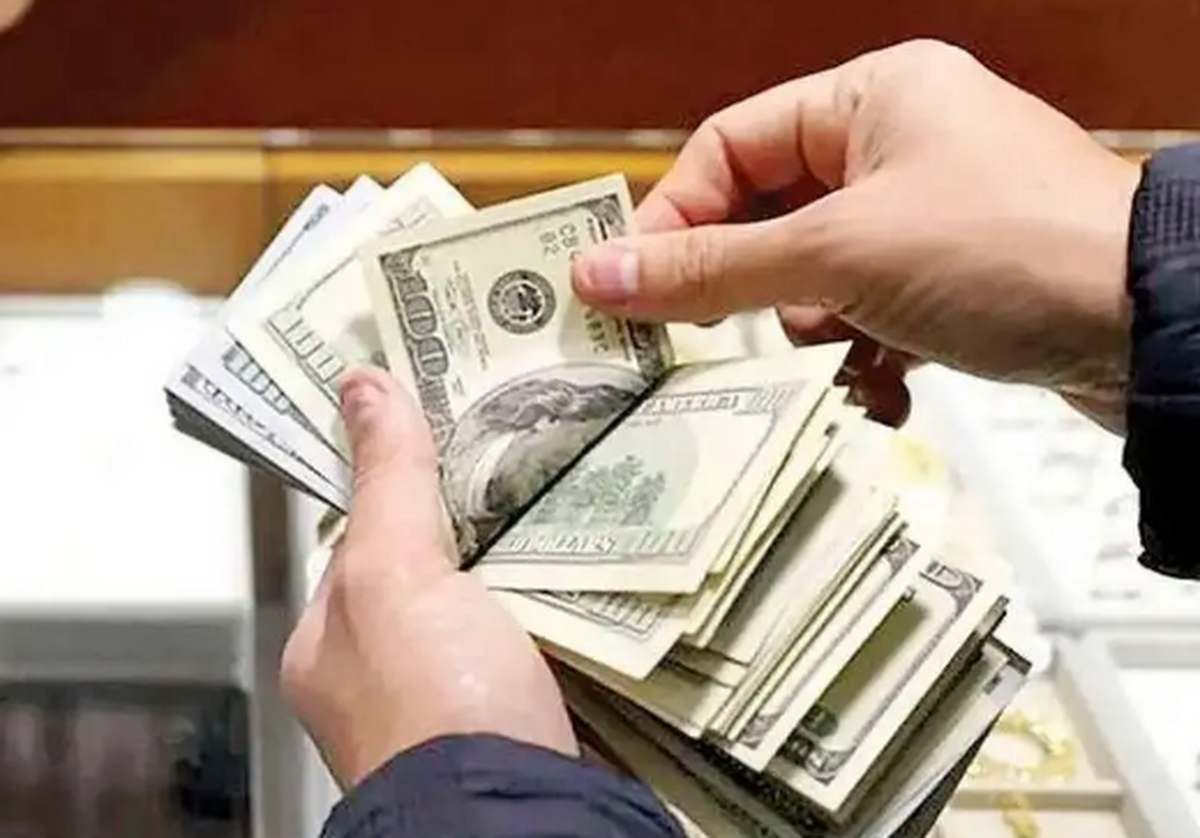 پیش بینی قیمت دلار ۷ مرداد ۱۴۰۳؛ تعطیلی بانک ها دلار را آچمز کرد