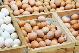 افزایش چشمگیر قیمت مرغ و تخممرغ در سال آینده