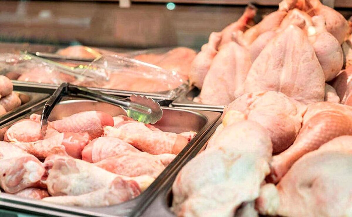 حداکثر قیمت مرغ گرم ۹۰ هزار تومان است حداکثر قیمت مرغ گرم ۹۰ هزار تومان است