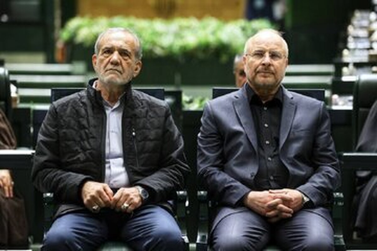 سلیمی نمین: قالیباف ابلاغ قانون عفاف و حجاب را به تعویق می اندازد سلیمی نمین: قالیباف ابلاغ قانون عفاف و حجاب را به تعویق می اندازد