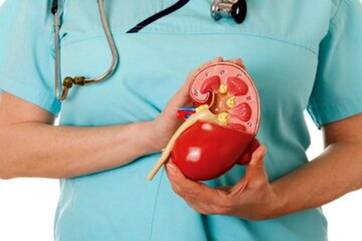راهکارهای علمی برای پیشگیری از سنگ کلیه راهکارهای علمی برای پیشگیری از سنگ کلیه