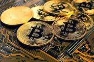 بیت کوین در بحبوحه افت اتریوم‌ صعود کرد