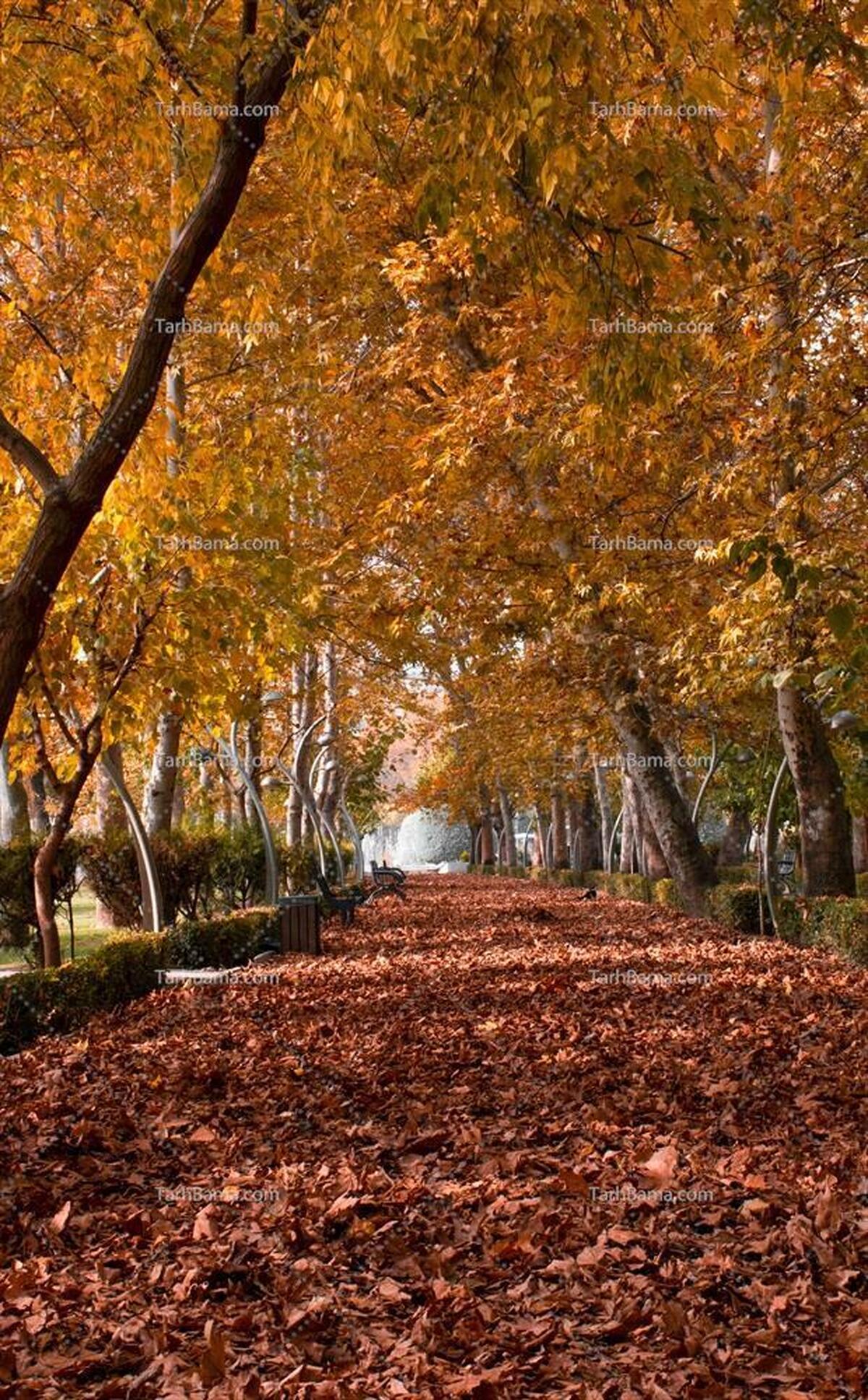 پاییز 1403خشکترین فصل در دهههای اخیر بود پاییز 1403خشکترین فصل در دهههای اخیر بود