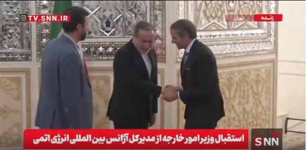 ببینید | استقبال وزیر امور خارجه از  مدیرکل آژانس بین‌المللی انرژی اتمی