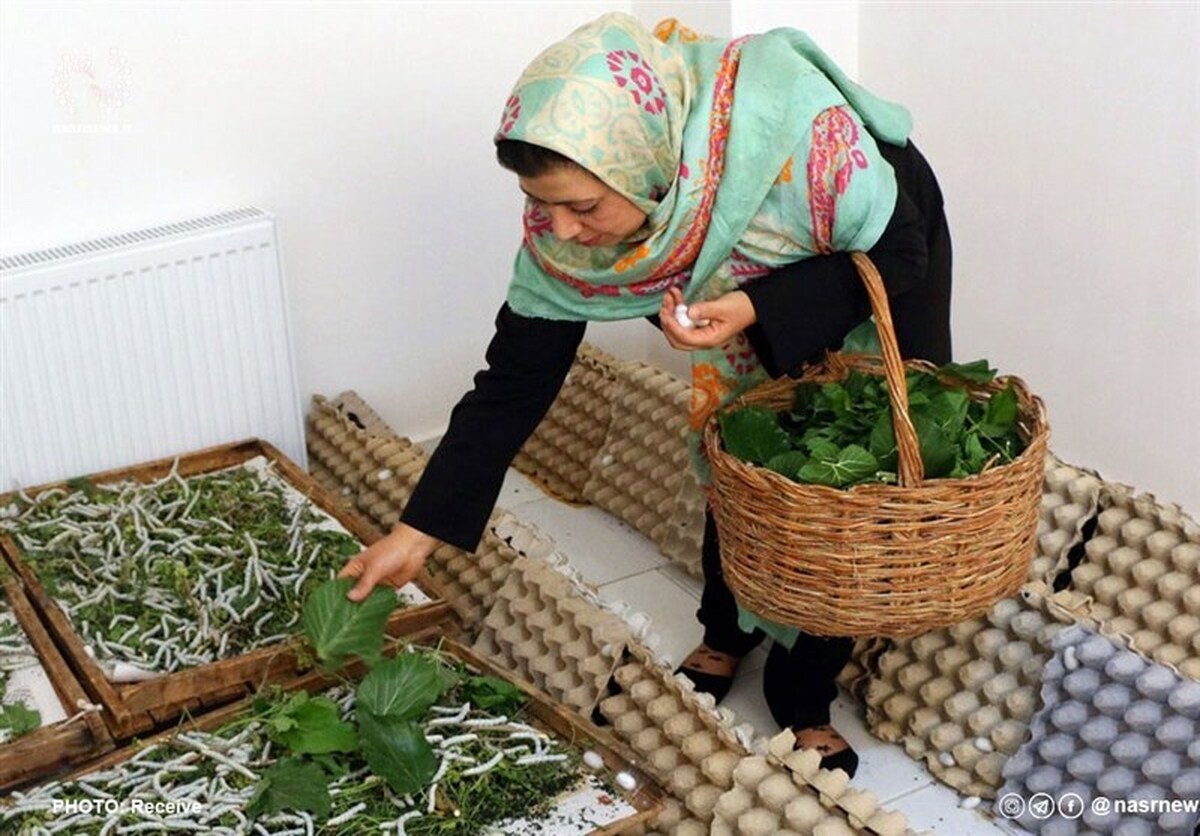 متقاضیان تسهیلات مشاغل خانگی به بانک مراجعه نکنند