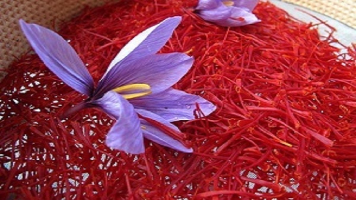 صادرات زعفران به ۱۸۵ میلیون دلار رسید