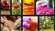 صادرات محصولات کشاورزی رشدی ۲۹ درصدی داشته است