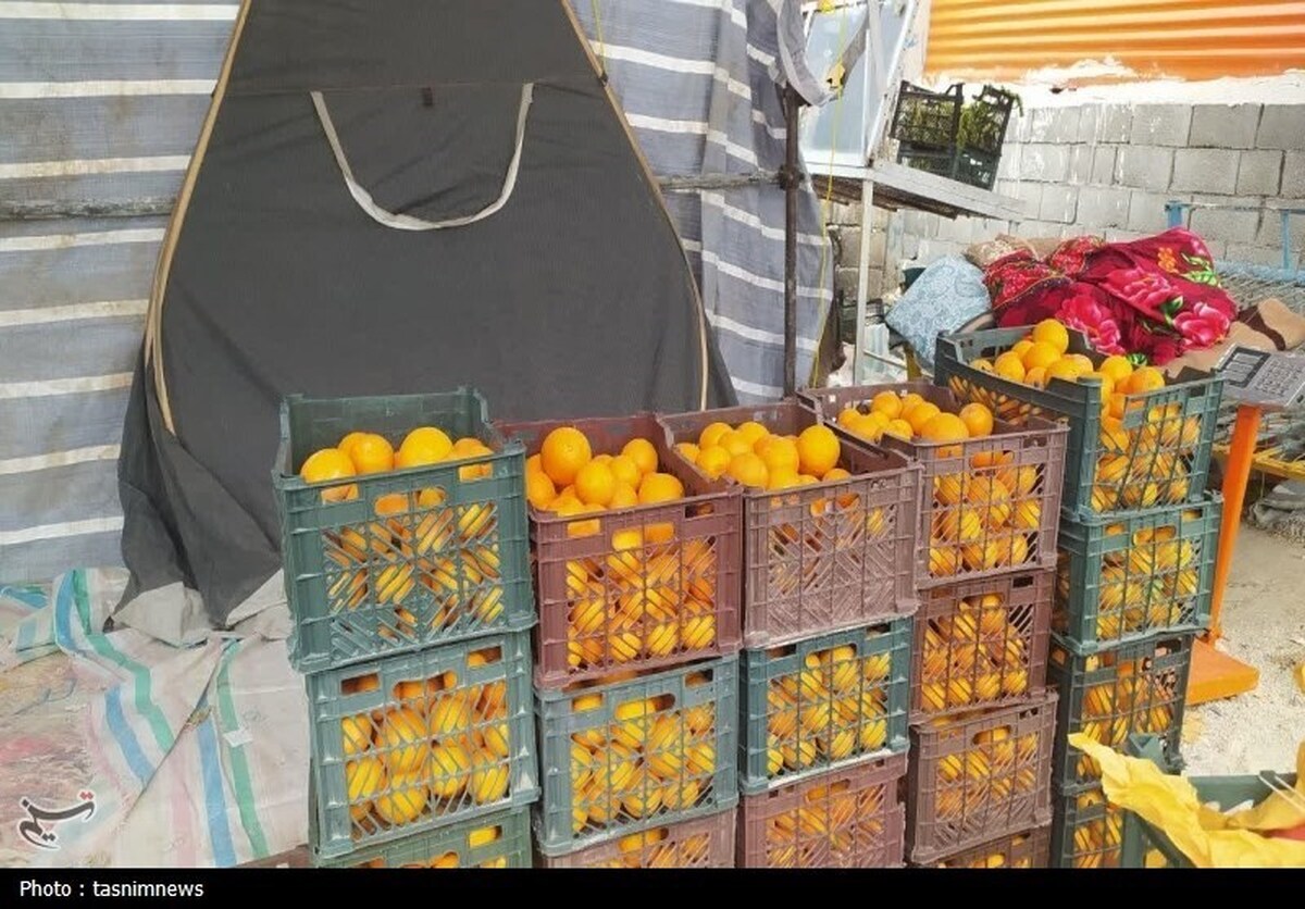 چرا میوه تنظیم بازاری گران تر است؟ چرا میوه تنظیم بازاری گران تر است؟
