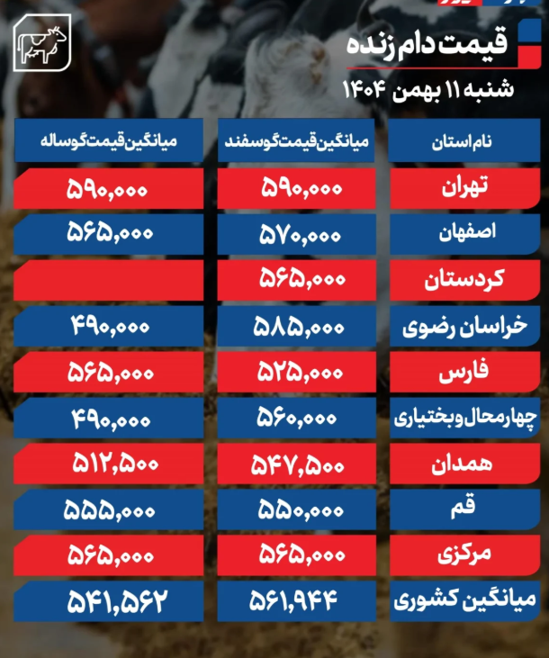 قیمت دام زنده امروز ۱۱ بهمن 1404 قیمت دام زنده امروز ۱۱ بهمن 1404