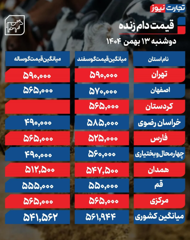 جدول قیمت دام زنده امروز 13 بهمن 1404