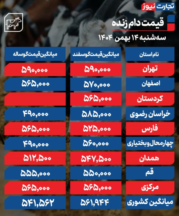 قیمت دام زنده امروز سه شنبه ۱۴ بهمن 1404