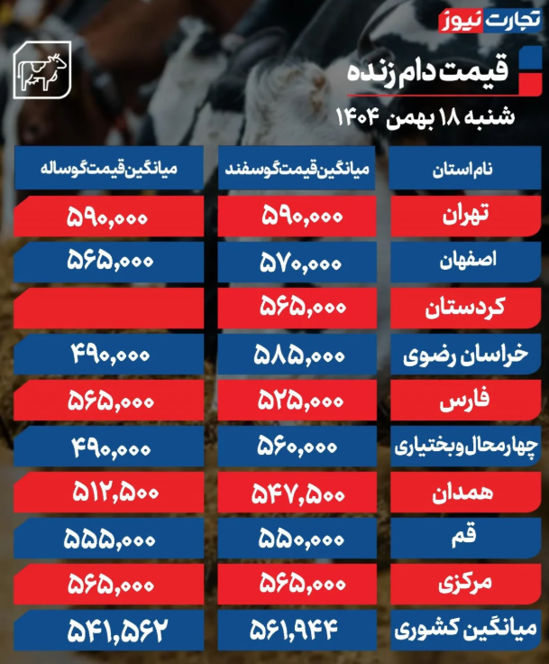 قیمت دام زنده امروز ۱۸ بهمن 1404