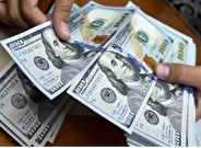 جدیدترین قیمت دلار و یورو امروز شنبه ۲۵ بهمن ۱۴۰۴