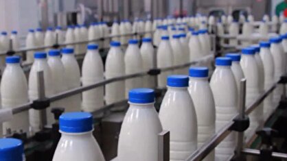 عرضه لبنیات با کالابرگ ۱۰ درصد کمتر از قیمت مصوب است