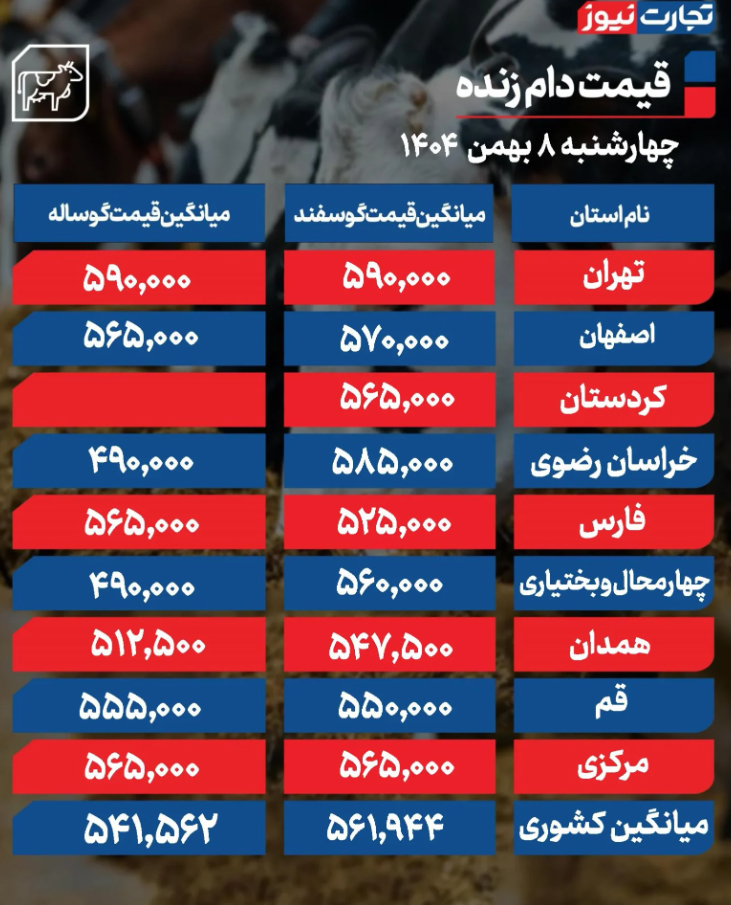 قیمت دام زنده امروز  چهارشنبه 8 بهمن 1404