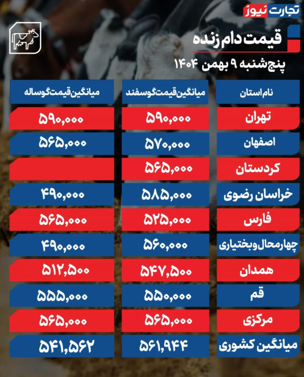 جدول قیمت دام زنده امروز ۹ بهمن 1404